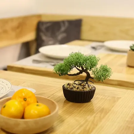 Apartment Sport House Novakovic