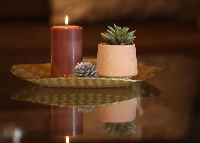 سبورت هاوس نوفاكوفيتش