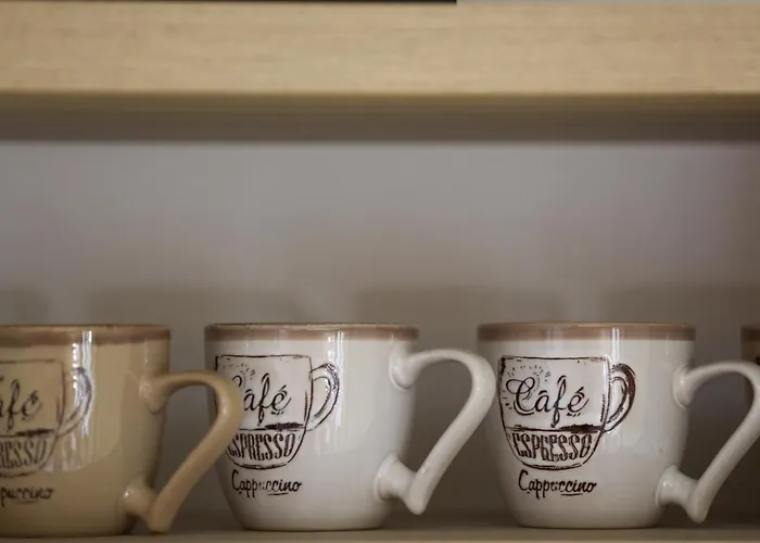 سبورت هاوس نوفاكوفيتش *