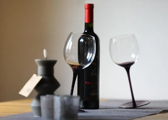 سبورت هاوس نوفاكوفيتش